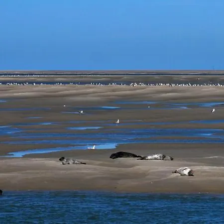 Chez Julian Belle Maison A 20 Minutes De La Baie De Somme *