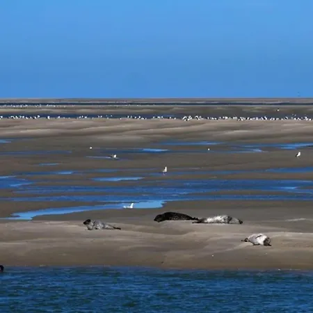 Chez Julian Belle Maison A 20 Minutes De La Baie De Somme